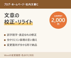 文章の校正・リライトで読みやすく整えます イメージ1