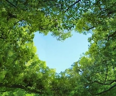 バレンタイン後ヒーリング☆恋愛成就サポートします 恋愛相談占い☆ハワイアンスピリチュアルメッセージ♪