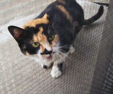 看護師さん！お話聞きます イメージ1