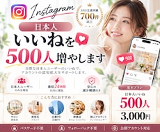 インスタ日本人いいね500件増やします イメージ1