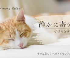 大切なペットの写真を、息づくメモリアル動画にします 静かに寄り添う、小さな5〜秒間。