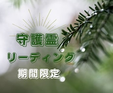 期間限定★守護霊リーディング！１つの悩みに答えます 返答はあなたの守護霊からのYes / No