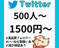 Twitter（X）の日本人フォロワーを増やします Twitter（X）日本人　フォロワー500人増加