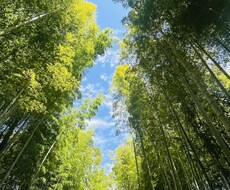あなたの気持ちを整理するお手伝いをします イメージ1