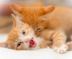 あなたの不満、愚痴をお聞きします イメージ1