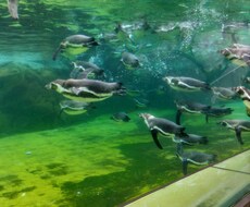 オンラインで気楽に！マインドフルネスします イメージ1