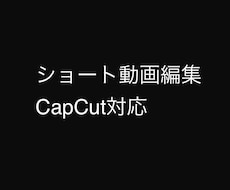 CapCutでショート動画を丁寧に編集します イメージ1