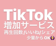 TikTok いいね1000〜増やします イメージ1