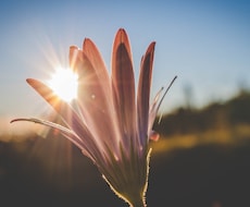 今の最善な方向性を見出します 何から始めていいのか？頭の中の整理をつけたいあなたと一緒に