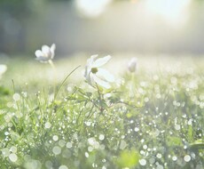 20年の実務経験から具体的なアドバイスを提供します イメージ1