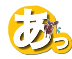 写真でLINEスタンプ作ります オリジナルLINEスタンプ１６個で3千円！