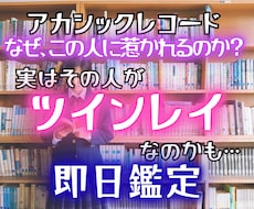 ツインレイとの魂のご縁をアカシックで読み解きます 24時間以内◆なぜ惹かれる？二人の魂のつながりとご縁を鑑定