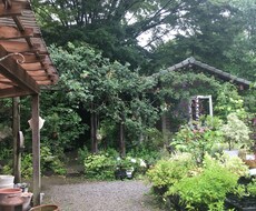 あなたに寄り添います イメージ1