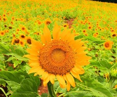 誰でもいい！話し相手が欲しい時の話し相手します イメージ1