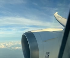 旅行で撮影した動画になります イメージ1