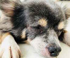 簡単で反則的な休憩術を教えます 疲れや眠気を忘れ、活発に行動したいあなたの為のズルい休憩法