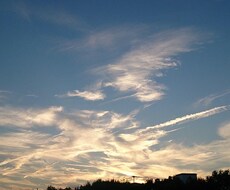 お悩み相談受付ます。カウンセラー資格ありなのでご気軽におこしください。