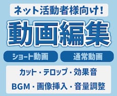 ネット活動者様向け！切り抜き・動画編集します ゲーム・雑談・自己紹介などジャンルを問わず承ります！
