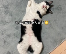 恋愛相談のります イメージ1