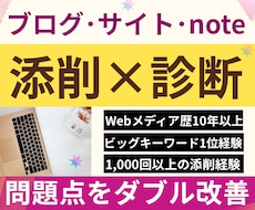 記事添削＋ブログ診断⭐︎アフィリエイト改善します 文章×アフィリエイト×SEO×収益化の問題点をダブル改善
