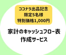 5名様限定価格！家計のキャッシュフロー表作成します イメージ1