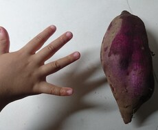保育士、幼稚園教諭の悩み解決します イメージ1