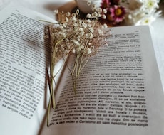 あなたの為の小説をお届けします イメージ1