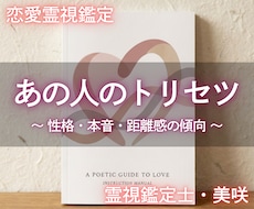 気になるお相手のトリセツ＆攻略法をお伝えします 性格・恋愛傾向から導く、自然に距離を縮めるための実践ガイド