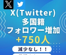 XTwitter多国籍フォロワー750人増やします 高品質×安心安全！X(Twitter)フォロワー＋750～