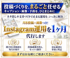 月8投稿＋画像つき！インスタ運用を1ヶ月代行します イメージ1