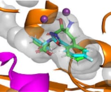 インシリコ創薬研究伴走を論文化まで実施します 初めてプログラミングを行う方でもわかりやすくサポートします！