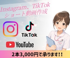 2本3,000円でショート動画作成します イメージ1