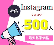 Instagramのフォロワーを増やします イメージ1