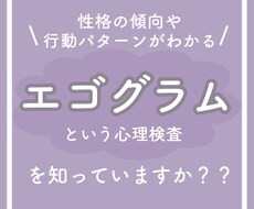 性格検査(エゴグラム)の解釈をさせていただきます イメージ1