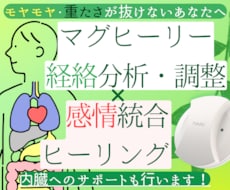内臓に溜まった感情を丁寧に統合ヒーリングします イメージ1