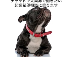 チャットで犬業界で働きたい・起業希望相談に乗ります イメージ1