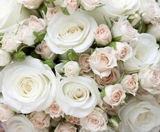 素敵なパートナーが欲しいあなたへ♡オラクルカードを使ってメッセージを受け取ります