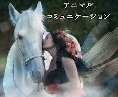 アニマルコミュニケーション♡ペット声をお届けします 飼い主さまとペットちゃんの心繋ぎをお手伝い♡