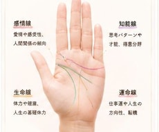 仕事で悩む方にご好評∣最適な行動指針を提案します 手相でキャリア運を読み解き手相鑑定で運気とチャンスの波を見る