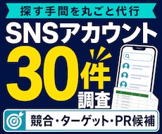目的に合うSNSアカウントを30件調査します 競合・ターゲット・PR候補を人の目で確認して一覧化