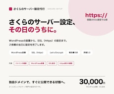 さくらのレンタルサーバの設定代行します 依頼をいただいた当日に設定を完了出来ます。