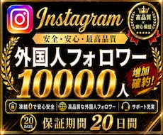 インスタのフォロワー＋10000人増やします イメージ1