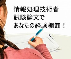情報処理技術者試験（PM・SA）論文添削します 自分の経験で大丈夫？と不安な方に！あなたの経験引き出します！