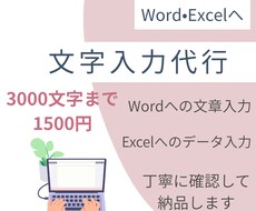 Word・Excelへの文字入力を丁寧に代行します イメージ1