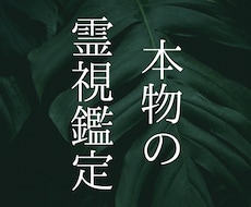 即日！あなたに寄り添い本気の霊視鑑定いたします イメージ1