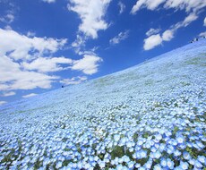 ライティングを受け付けます イメージ1