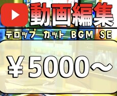 YouTube等の動画編集、請け負います イメージ1