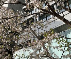 夫や姑の愚痴、誰にも言えないお話お聞き致します イメージ1