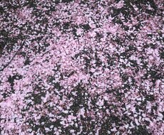今のあなたに捧げる前向きなメッセージを送ります イメージ1