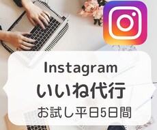 Instagramのいいね代行いたします 【お試し】まずは平日5日間、ターゲットにいいねを届けます